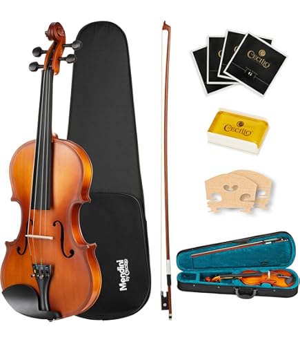 Amazon.com: Stentor Student II Viola 15.5
